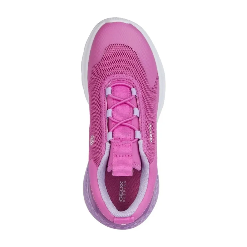 Activart Illuminus Sneakers>Geox Clearance