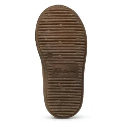 Albus VL><noscript><img width=