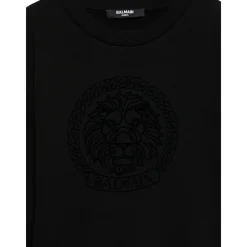 Casual Sweatshirt 930NE>Balmain Best