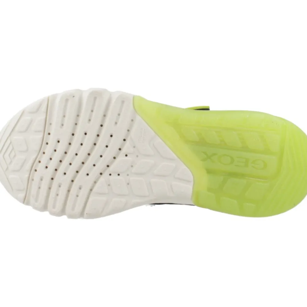 Ciberdron Boy Sneakers>Geox Best