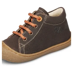 Cocoon><noscript><img width=