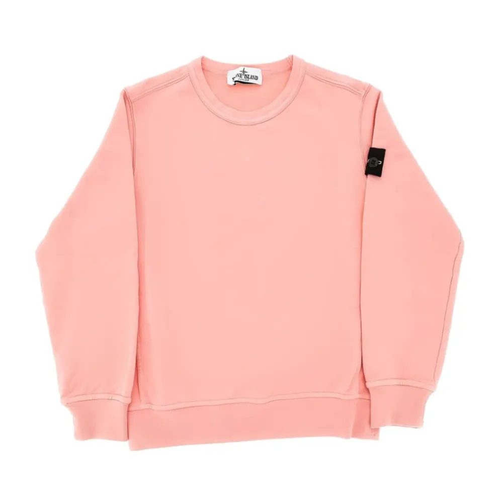 Crewneck Logo Sweatshirt>Stone Island Best