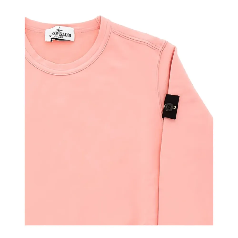 Crewneck Logo Sweatshirt>Stone Island Best