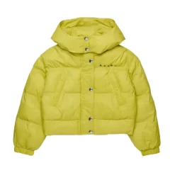 Cropped Hooded Padded Jacket>Marni