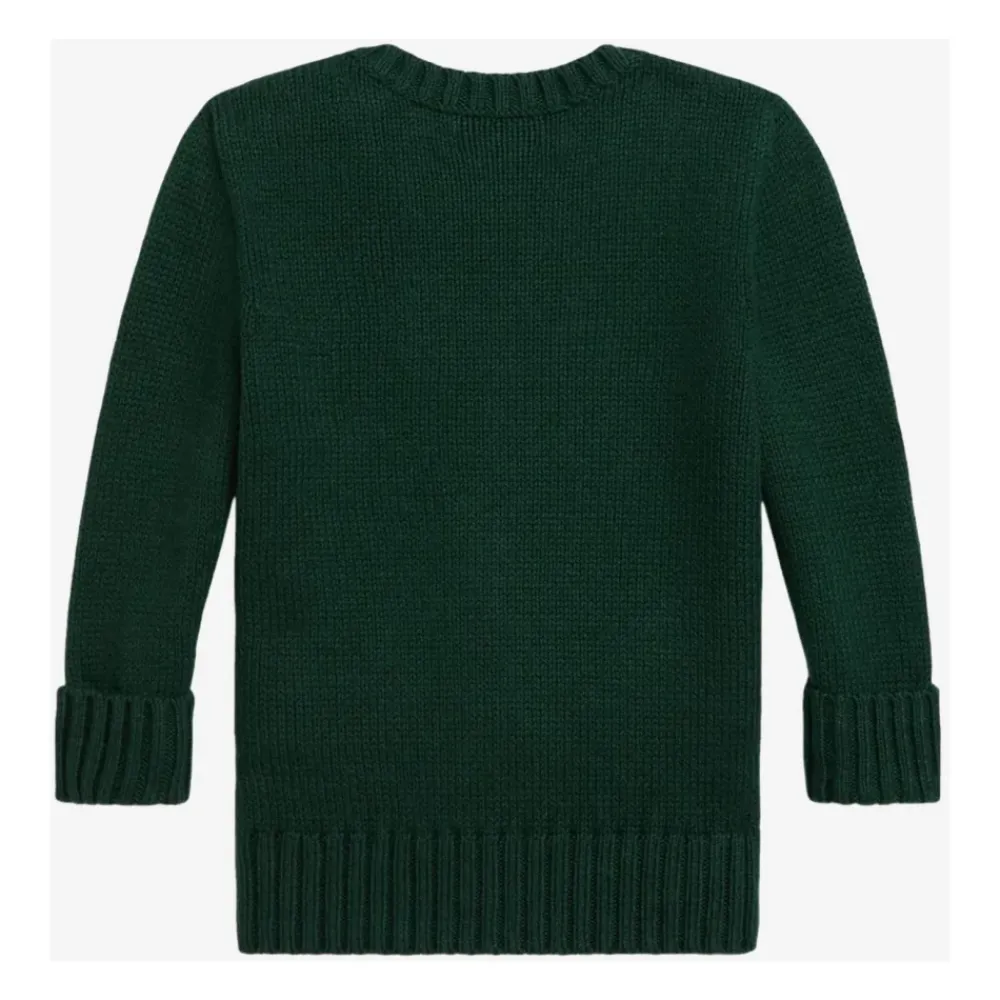 er Baumwollpullover Polo Bear Stickerei>Polo Ralph Lauren Best