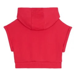 Hooded Sweatshirt>Balmain Outlet