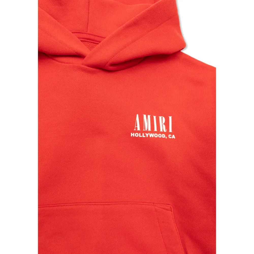 Hoodie Skeleton Sleeves>Amiri Clearance