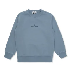 Logo Sweatshirt>Stone Island Hot