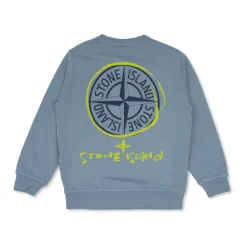 Logo Sweatshirt>Stone Island Hot