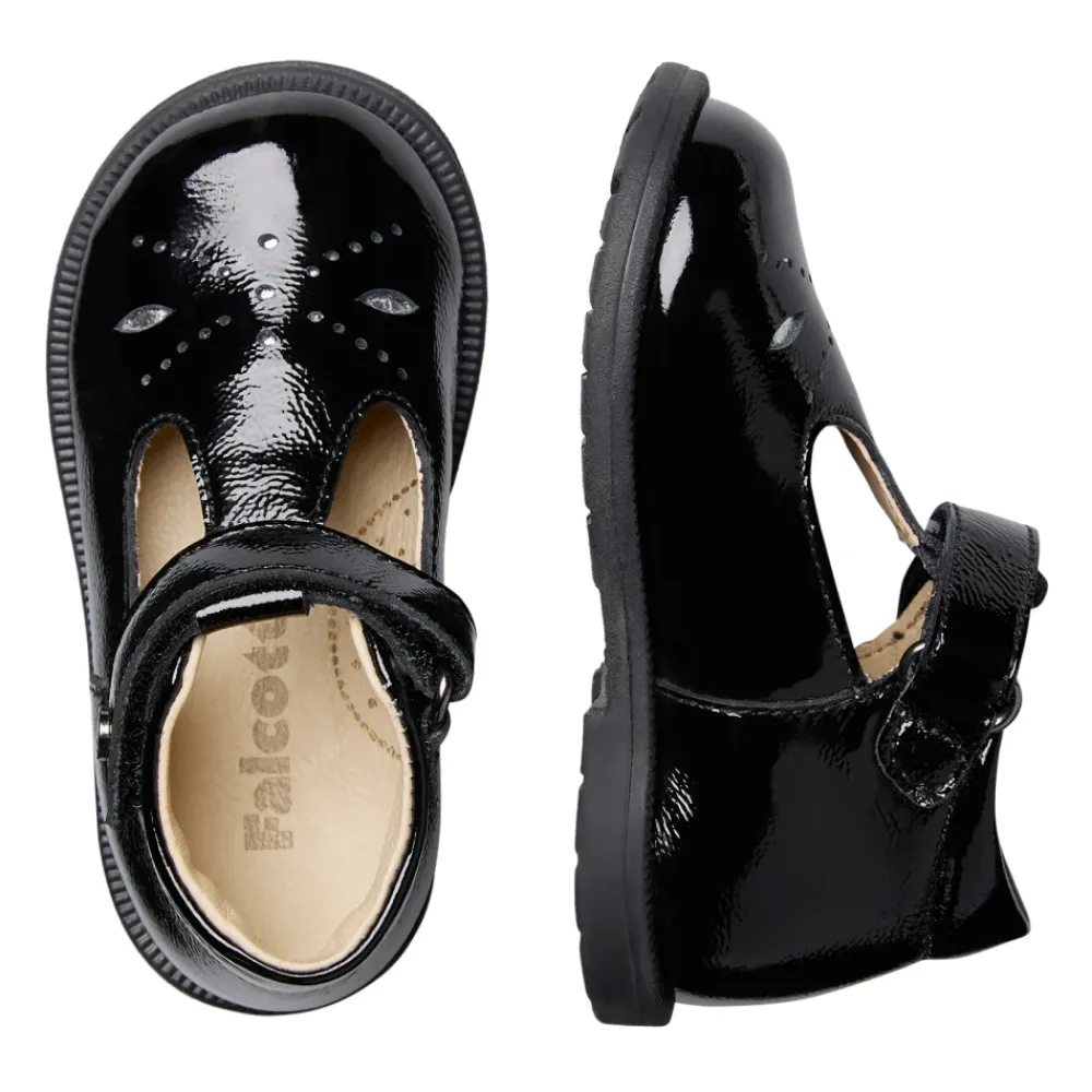 Maluku 2>Falcotto Hot