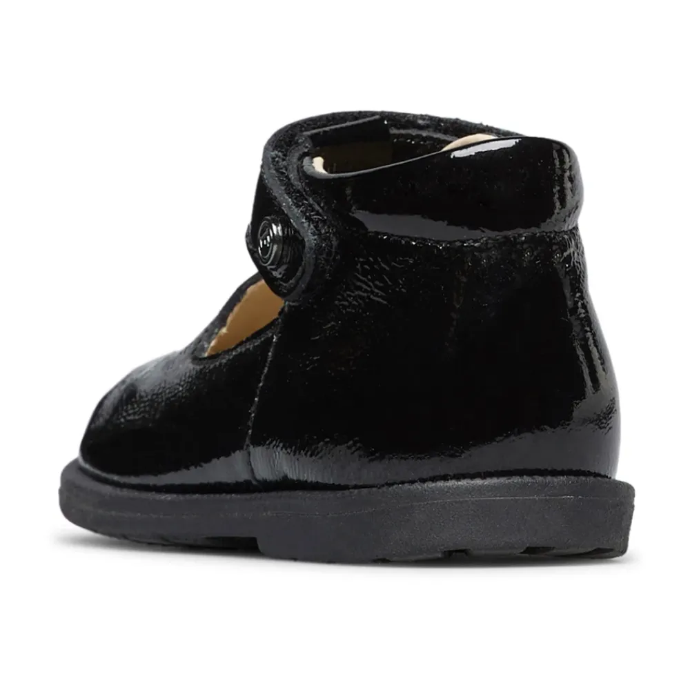 Maluku 2>Falcotto Hot