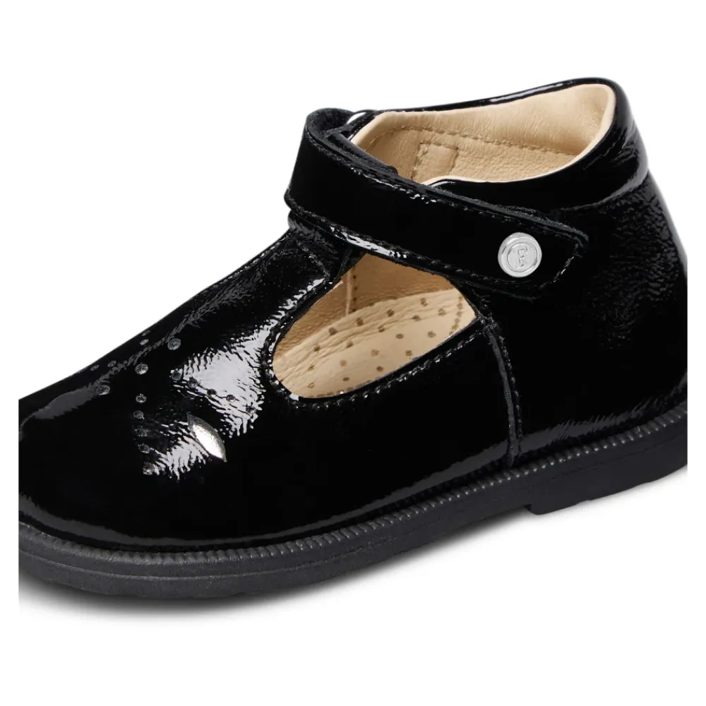 Maluku 2>Falcotto Hot