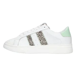 Mädchen Niedrige Sneakers Grüner Absatz>Hip New