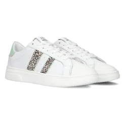 Mädchen Niedrige Sneakers Grüner Absatz>Hip New