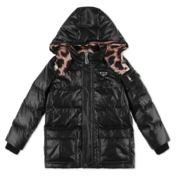 Nylon Satin Jacke Iconic Plein>Philipp Plein Clearance