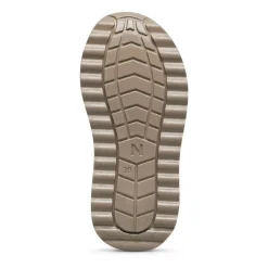 Parpar WP><noscript><img width=