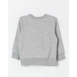 Roter Bear Crew Neck Sweatshirt>Polo Ralph Lauren Online