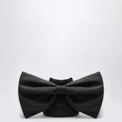 Secchiello><noscript><img width=