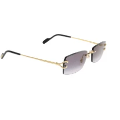 Sonnenbrillen>Cartier Hot