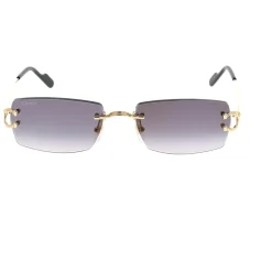 Sonnenbrillen>Cartier Hot