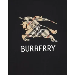 Sweatshirt><noscript><img width=