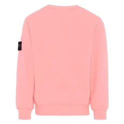 Sweatshirt>Stone Island Online