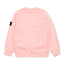 Sweatshirt mit Logo-Patch>Stone Island