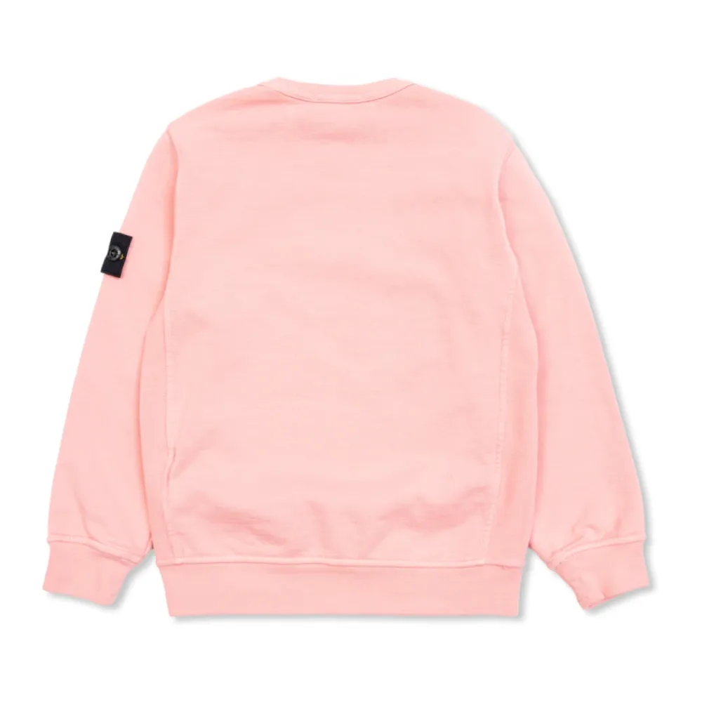 Sweatshirt mit Logo-Patch>Stone Island