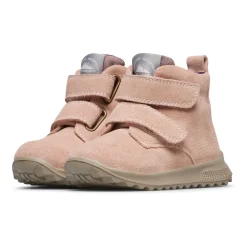 Willic WP><noscript><img width=