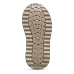 Willic WP><noscript><img width=