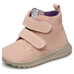 Willic WP><noscript><img width=